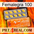 Femalegra 100 new05